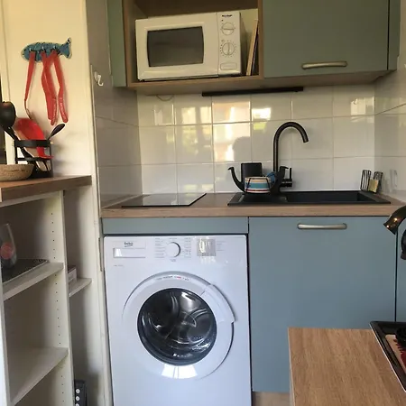 Alcove En Front De Avec Piscine, Terrasse Et Parking A Cyprien - Fr-1-793-14 Appartement