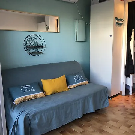 Appartement Alcove En Front De Avec Piscine, Terrasse Et Parking A Cyprien - Fr-1-793-14 *