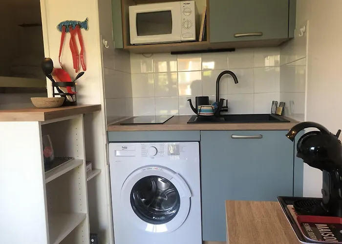 Alcove En Front De Avec Piscine, Terrasse Et Parking A Cyprien - Fr-1-793-14 דירה