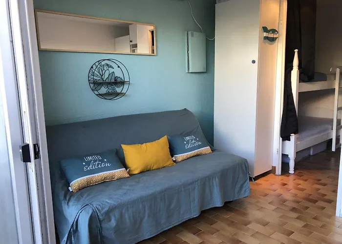 דירה Alcove En Front De Avec Piscine, Terrasse Et Parking A Cyprien - Fr-1-793-14 *